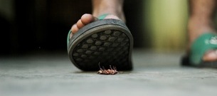 How to Spot a Roach: 5 Signs Your Partner Is Roaching You